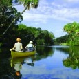PLACE…….. Gainesville is the urban gateway to Florida’s artesian springs—the largest constellation of freshwater springs in the world, with over 1000 bubbling forth from one of the most productive aquifers on...