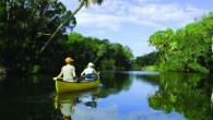 PLACE…….. Gainesville is the urban gateway to Florida’s artesian springs—the largest constellation of freshwater springs in the world, with over 1000 bubbling forth from one of the most productive aquifers on...