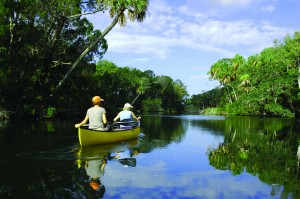 PLACE…….. Gainesville is the urban gateway to Florida’s artesian springs—the largest constellation of freshwater springs in the world, with over 1000 bubbling forth from one of the most productive aquifers on...